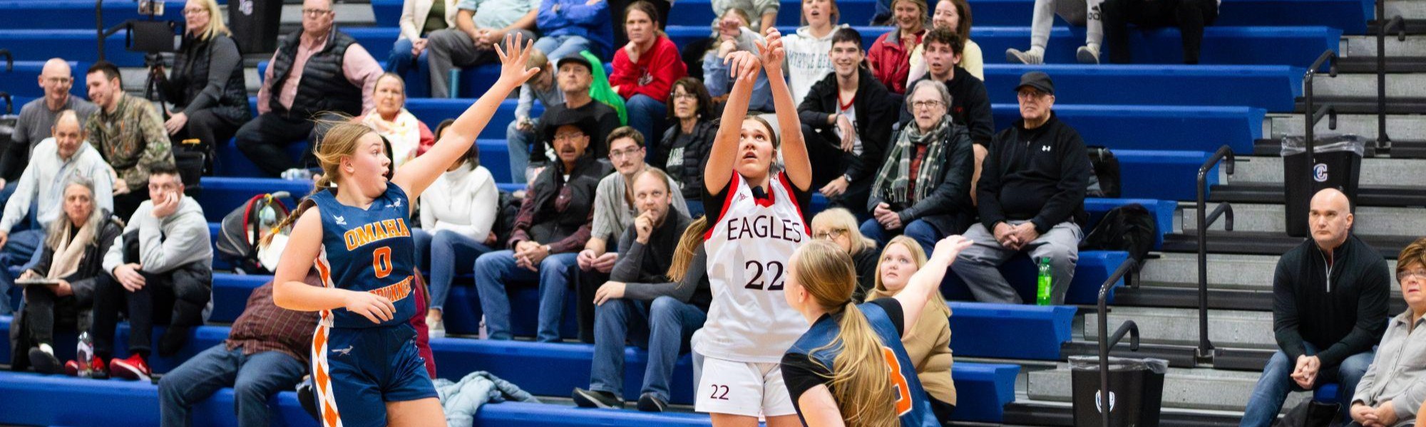 Lincoln Eagles High School Girls Basketball